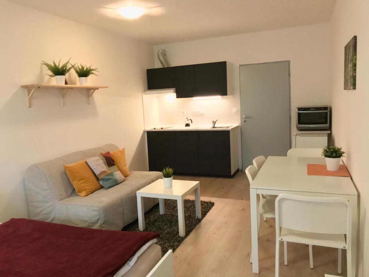 Certovka Trojka - Apartman Harrachov Ngoại thất bức ảnh